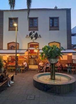 agora bar cafe Phellower Phe Festival 2026