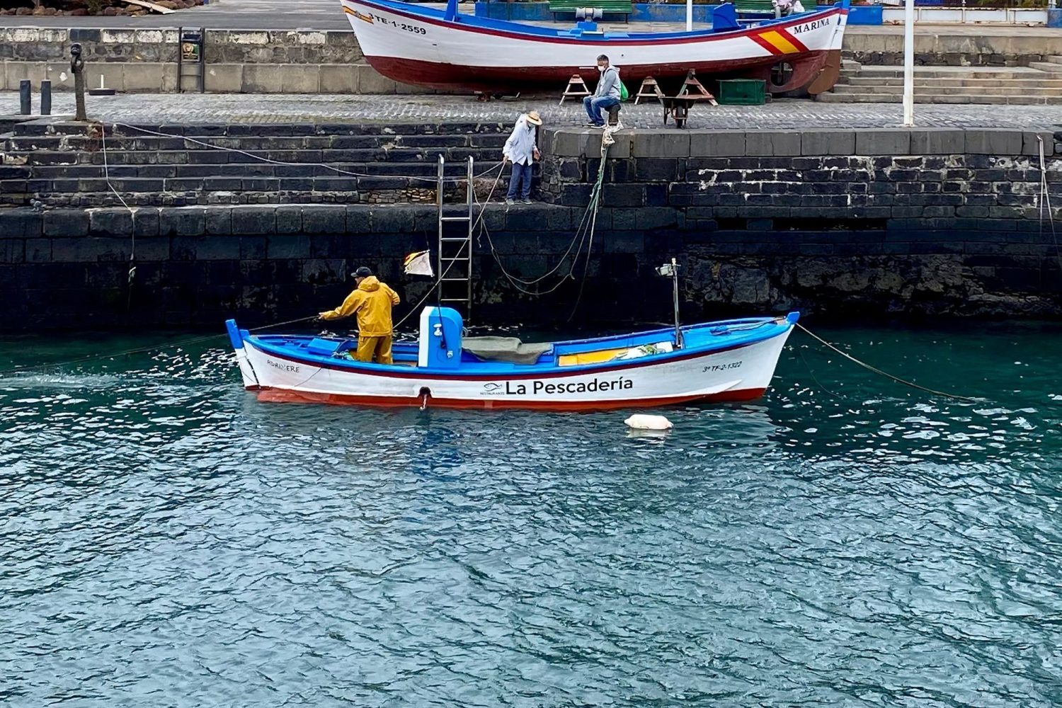 pescaderia-barca-tamaño-estandar